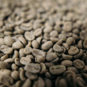 Fresh green coffee beans from Colombia to Millersburg Coffee Company